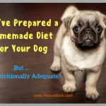 Can You Prepare a Nutritionally Adequate Homemade Diet for Your Dog?
