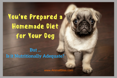 You're preparing a homemade diet for your dog but is it enough?