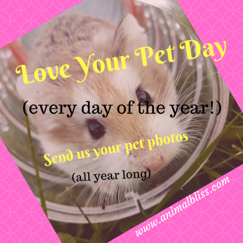 Love Your Pet Day, every day of the year. Send us your pet photos, all year long.