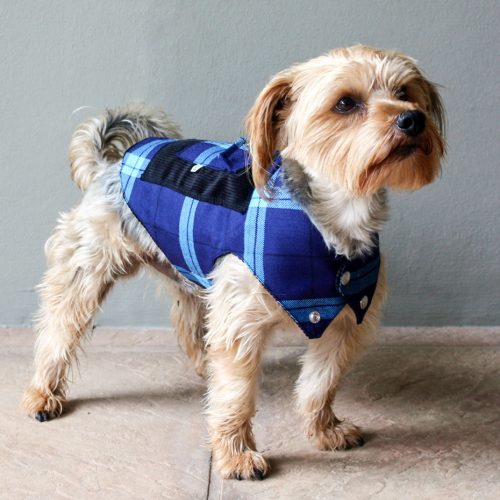 In a campaign to help pets unite against human trafficking, pet clothing brand Lulu & Robbie offers UN-endorsed anti-trafficking Blueheart tartan.