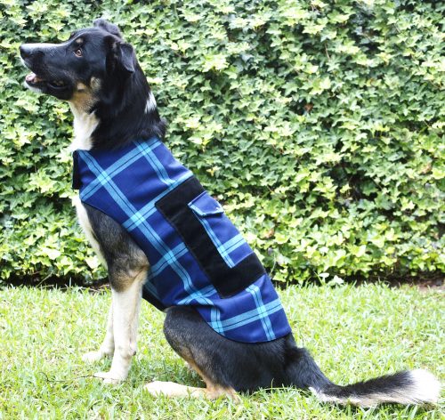In a campaign to help pets unite against human trafficking, pet clothing brand Lulu & Robbie offers UN-endorsed anti-trafficking Blueheart tartan.