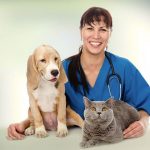 How Technology Plays a Role in Veterinary Care – Pet Health
