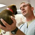 5 Things You Should Know if You Want to Become a Veterinarian