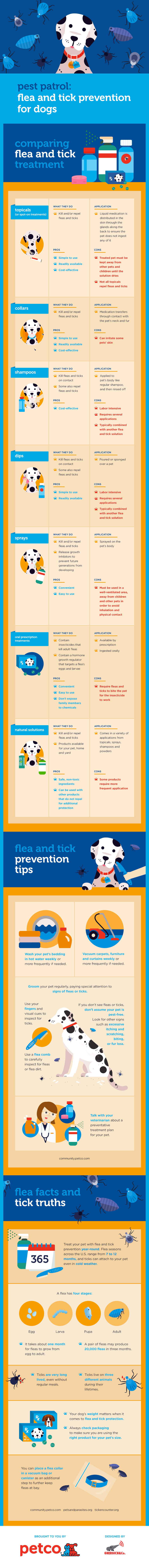 Fleas and Ticks