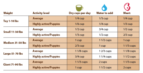 Ideal Dog Diet - How to Ensure Your Dog Gets the Right Nutrition