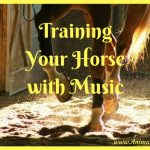 Training Your Horse with Music, Equestrian Training Technique