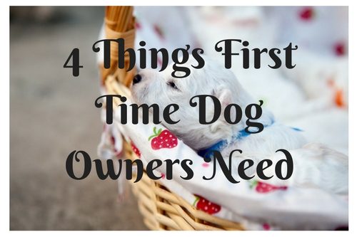 4 Things First Time Dog Owners Need