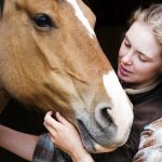 Horse Grooming Kit Checklist and Uses [Infographic]