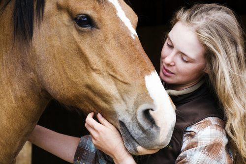 Do you know what is needed in a basic horse grooming kit checklist and how to use the tools?