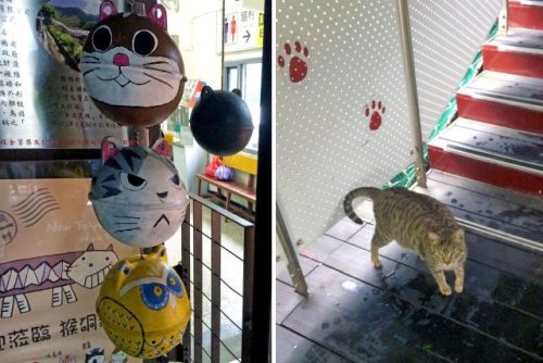 Houtong Cat Village is a cat lover's delight.