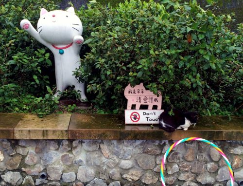 Cat art in Houtong