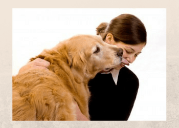 Here are a few possible reasons why your dog is afraid of thunder.