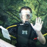 Toby Sanders has more than 15 years of experience in the aquarium sector and is passionate about creating Aquarist Guide. 