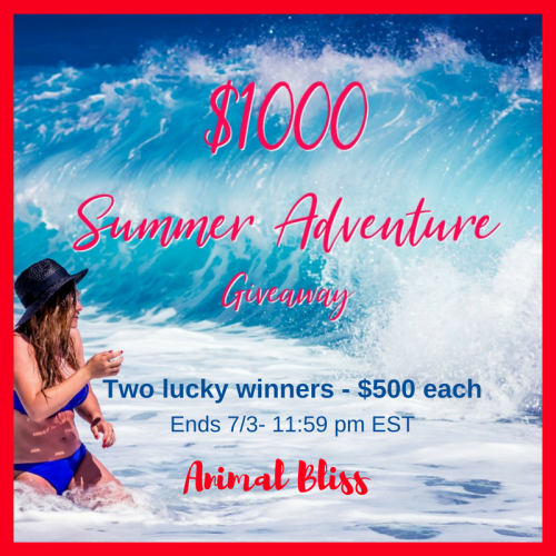 Make your summer even better than you'd planned. Enter this giveaway for a chance to be one of two winners of an extra $500 in Paypal cash.