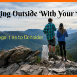 Hiking Outside With Your Dog: 3 Legalities to Consider