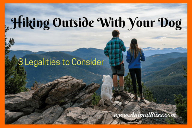 Hiking Outside With Your Dog: 3 Legalities to Consider