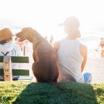 5 Impressive Services Dogs Can Do That You May Not Know