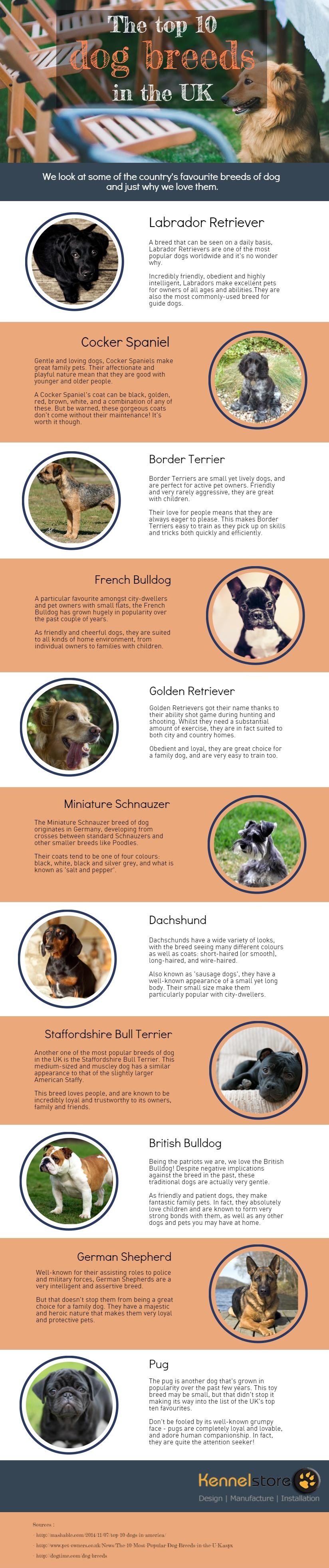 Top 10 Dog Breeds in the UK