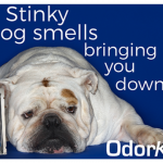 OdorKlenz Source Odor Eliminator Review, Pet Odor Be Gone!