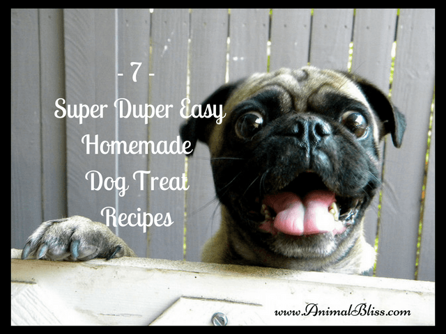 7 Super Duper Easy Homemade Dog Treat Recipes at your Fingertips