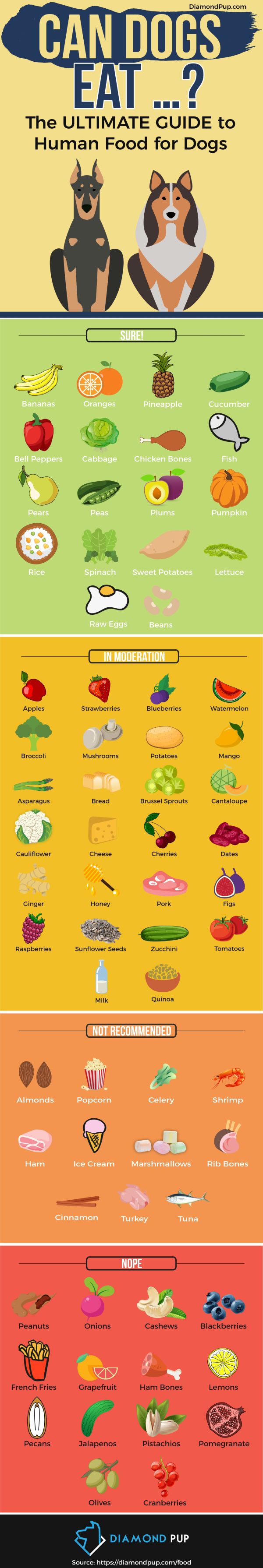 69 Human Foods You Can Feed Your Dog [Infographic]