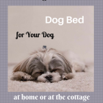 The Best Dog Bed for Your Dog at Home or at the Cottage