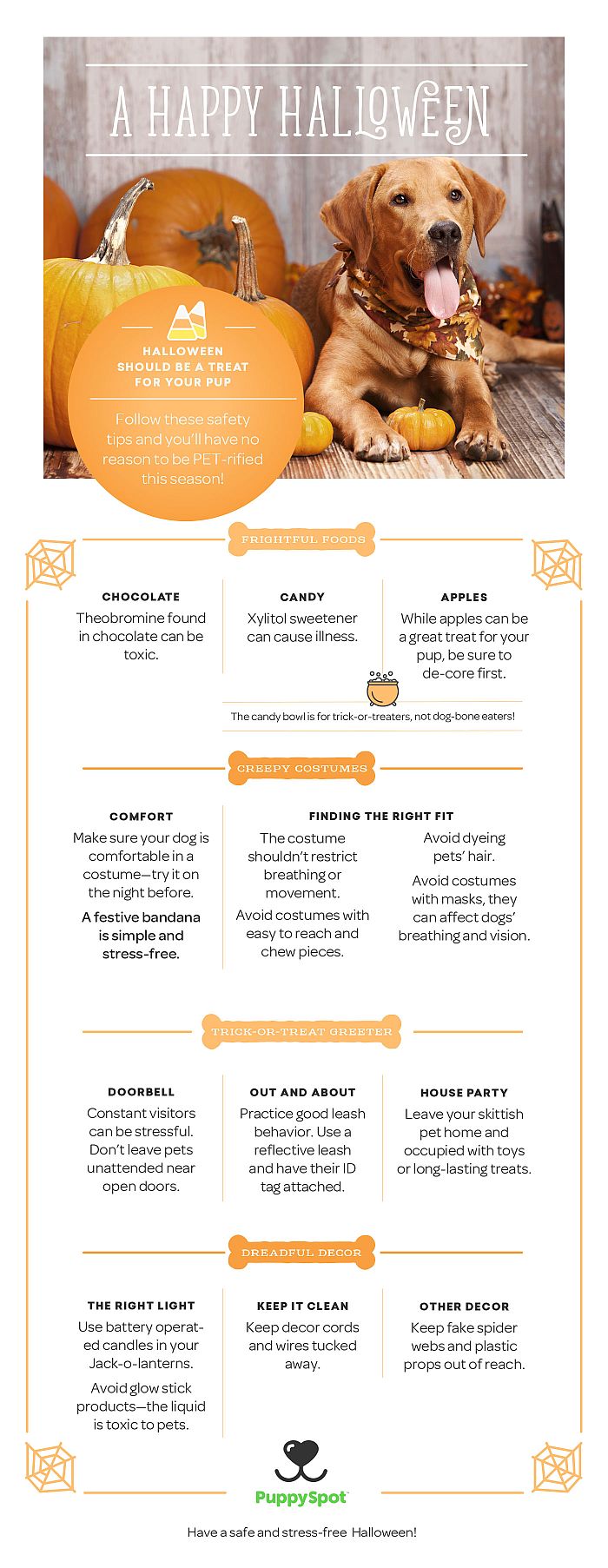 Follow these Halloween safety tips for your dog. As a dog-owner, it is your responsibility to make sure your pups are always happy and healthy.