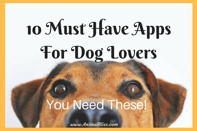 Check out these 10 must have apps for dog lovers if you're always looking for ways to make life better and easier. Download them for FREE!