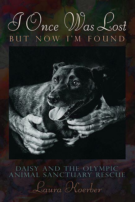 "I Was Lost, but Now I'm Found: Daisy and the Olympic Animal Sanctuary Rescue," by Laura Koerber, is the true story of an epic rescue.