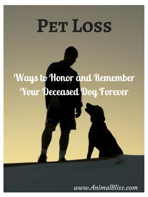 There are many ways by which you can honor and remember your deceased dog forever to keep his memory alive. Here are several ways to do that.