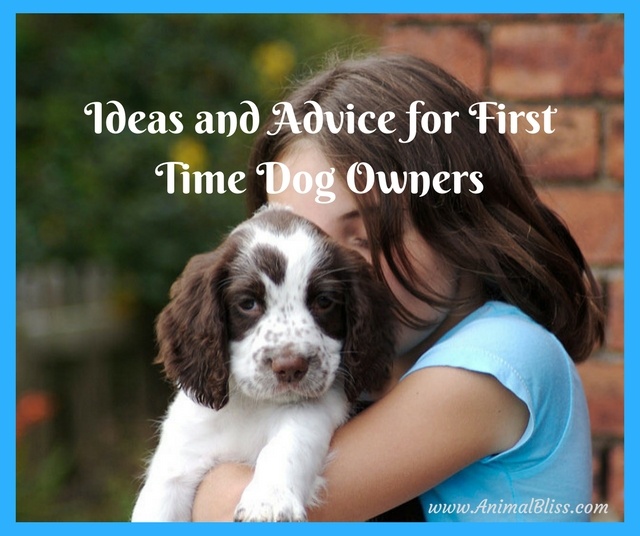 These ideas and advice for first time dog owners are essential for finding the right dog for you and your family.
