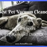 Best Pet Vacuum Cleaners to Eliminate Pet Hair and Dander