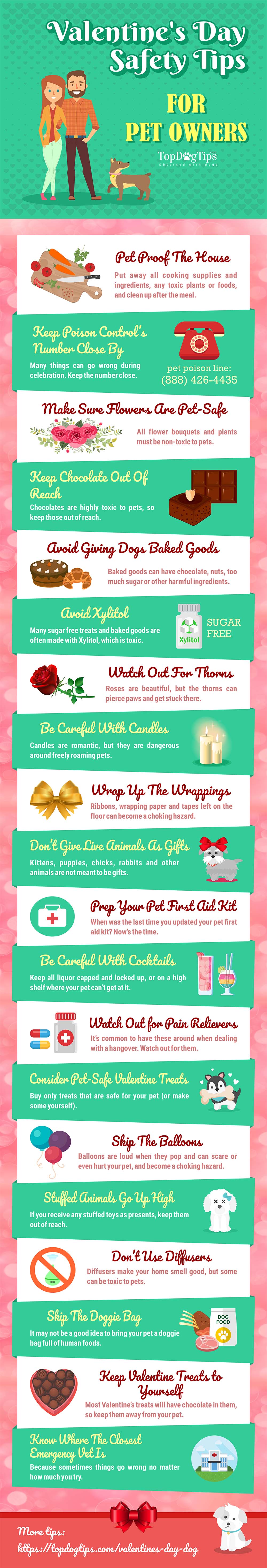 Safety Tips for Your Pets on Valentines Day infographic speaks of certain harmful, poisonous, even toxic substances to your pets