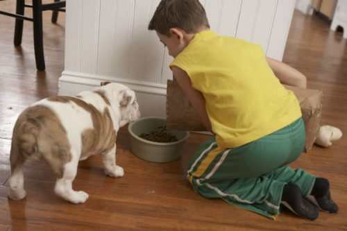 How to Feed a Growing Pup - The Path to Vitality