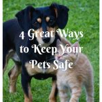 4 Great Ways to Keep Your Pets Safe