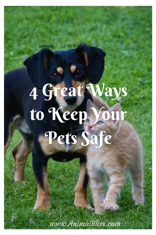 4 Great Ways to Keep Your Pets Safe