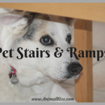 Pet Stairs and Ramps for Injured Pets and Senior Dogs
