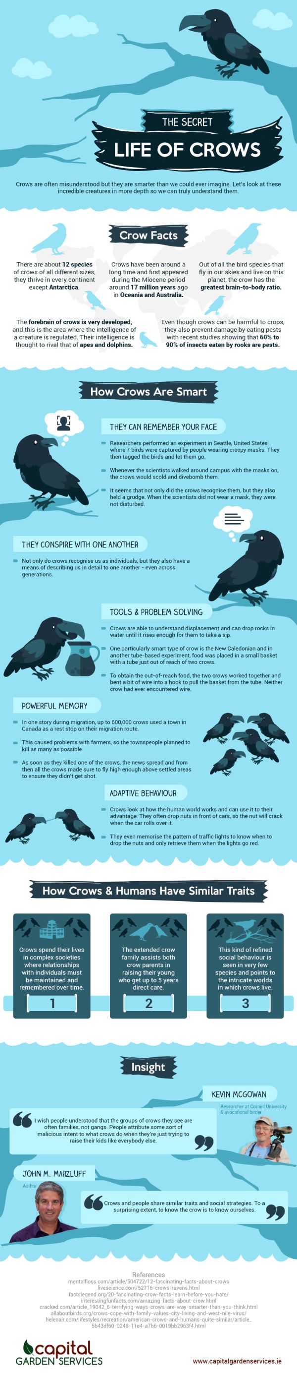 The Secret Life of Crows: an Infographic