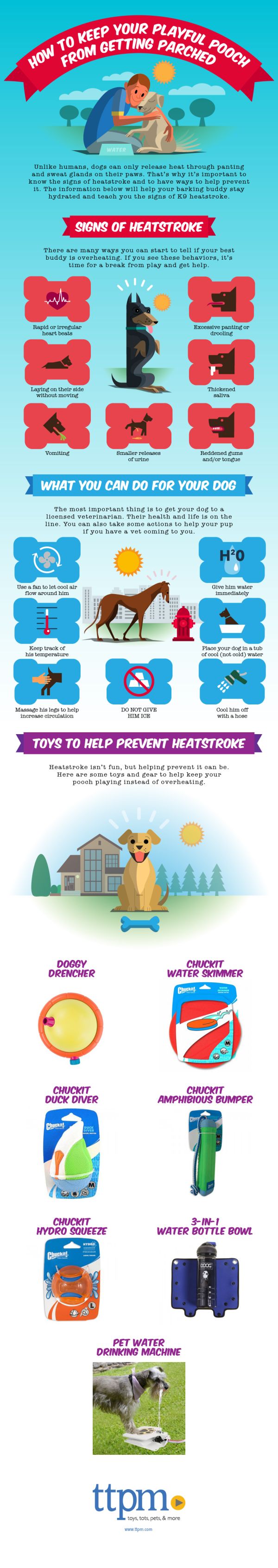 Heatstroke in Dogs: Signs, Symptoms and Prevention