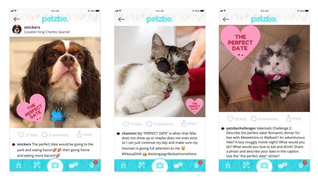 Petzbe App Lend a Paw Challenge