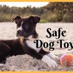 Safe Dog Toys to Curb Destructive Chewing and Other Behavior Problems