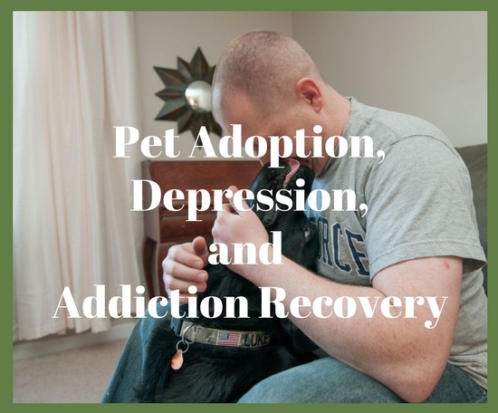 Pet adoption and depression or addiction recovery often go hand in hand. Not only are you giving the rescue animal a new lease on life and a forever home, but the companionship this pet can provide you with offers a new sense of purpose and uplifting feeling that no other form of therapy can afford.