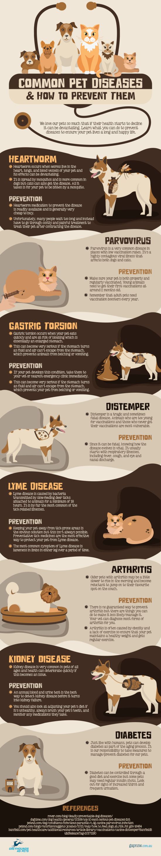 Common Pet Diseases and How to Prevent Them (Infographic)