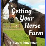 Getting Your Horse Farm Up and Running: the Essentials