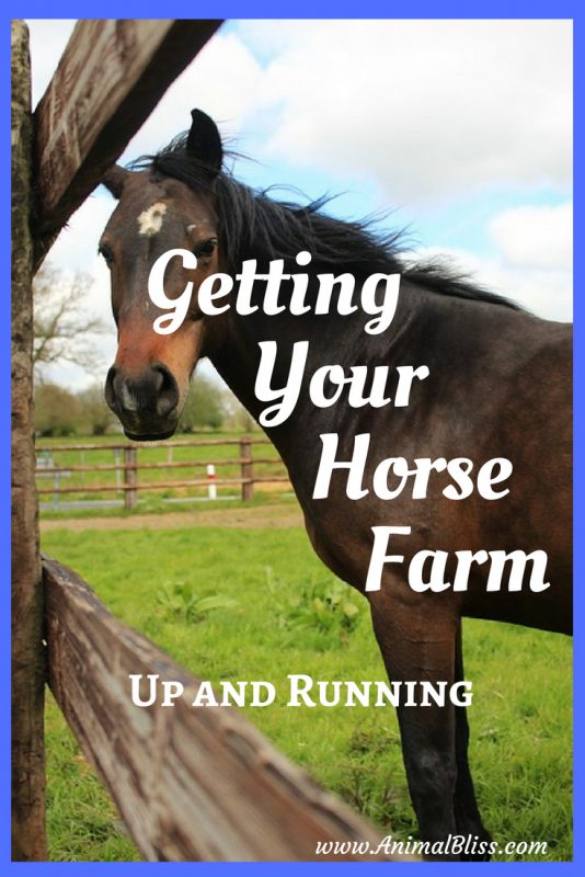 Getting Your Horse Farm Up and Running: the Essentials