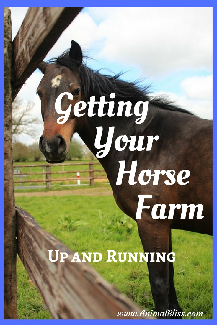 Getting Your Horse Farm Up and Running: the Essentials