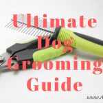 Ultimate Dog Grooming Guide Infographic
