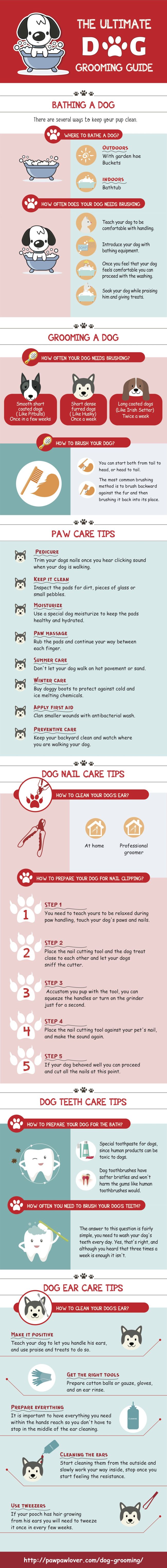 The Ultimate Dog Grooming Guide - Infographic