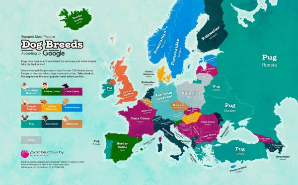 Most Popular Dog Breeds in Europe