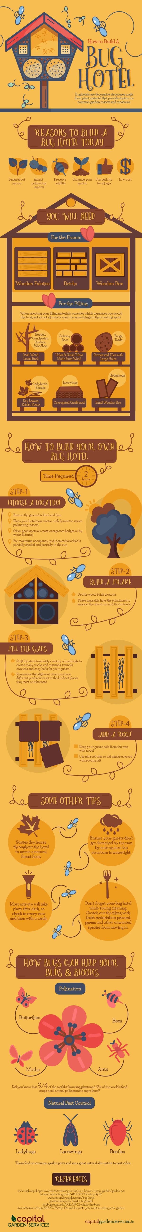 Building a Bug Hotel Infographic